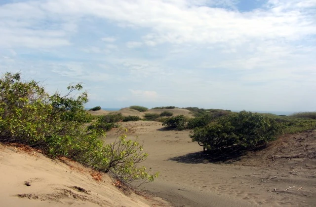 Dunes de Bani Peravia Republique Dominicaine